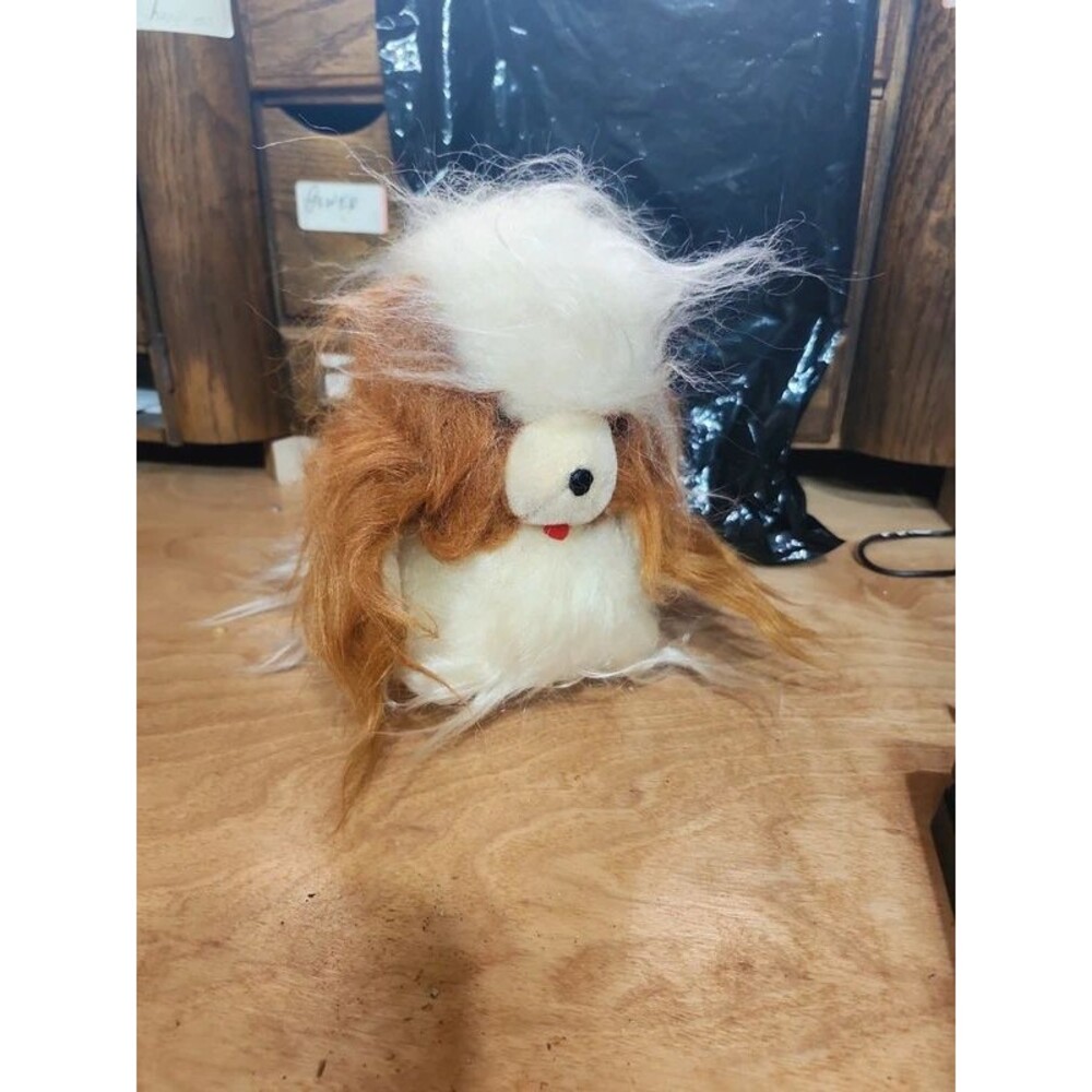 yorkie talking dog